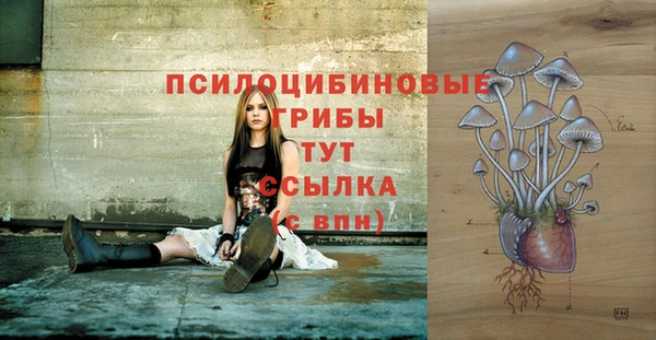 молекула духа Алексеевка
