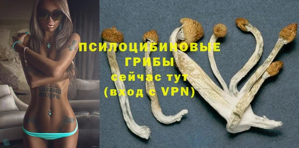 сатива Алзамай