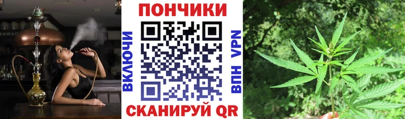 Конопля гибрид  Гаврилов Посад 
